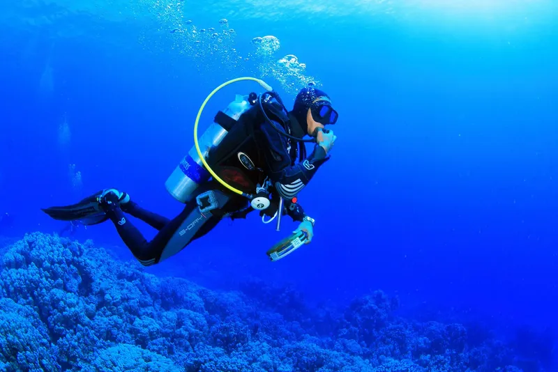 Plongeur en combinaison explore un récifal corallien bleu profond