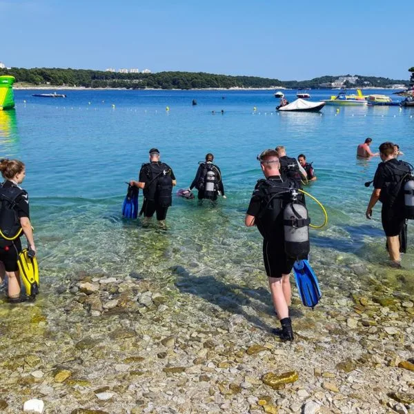 Plongée : groupe de personnes équipées sortant de l'eau sur une plage