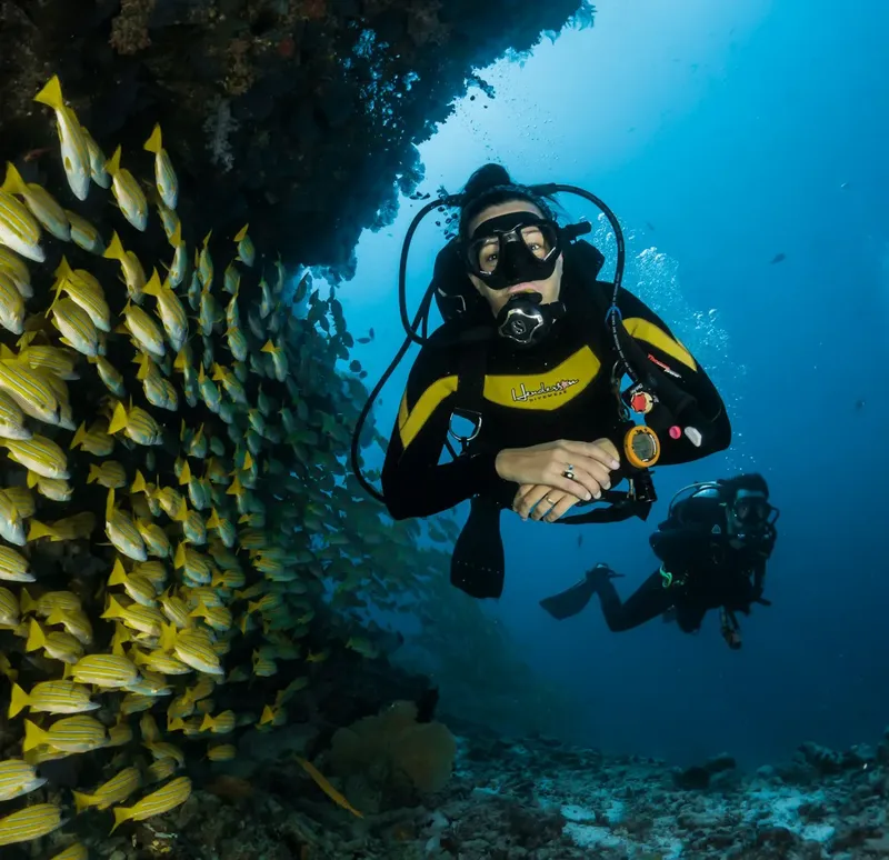 Plongeur avec un banc de poissons jaunes dans une eau bleue claire