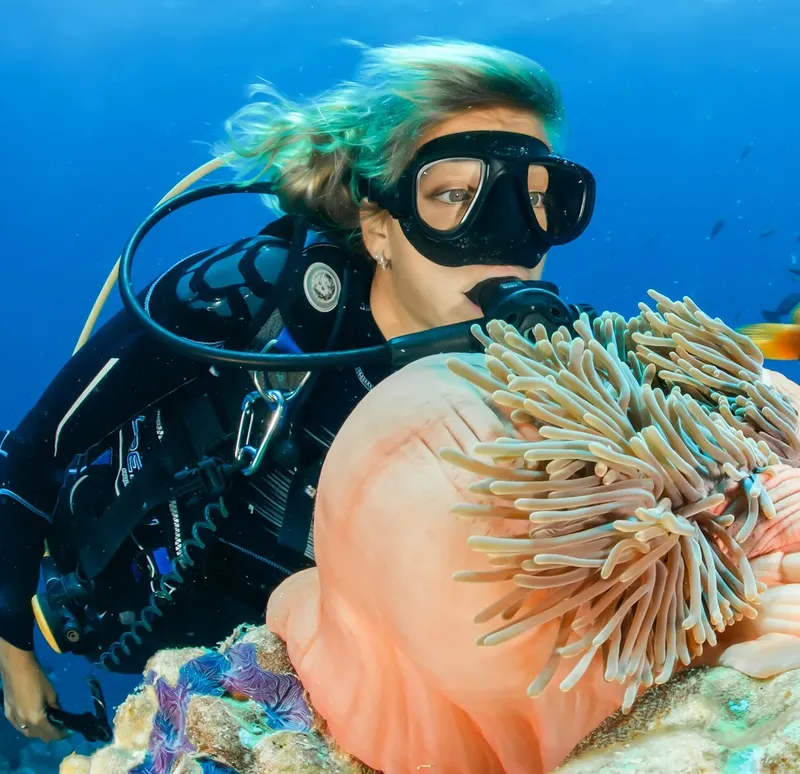 Plongeuse observant une grande anémone de mer et ses poissons