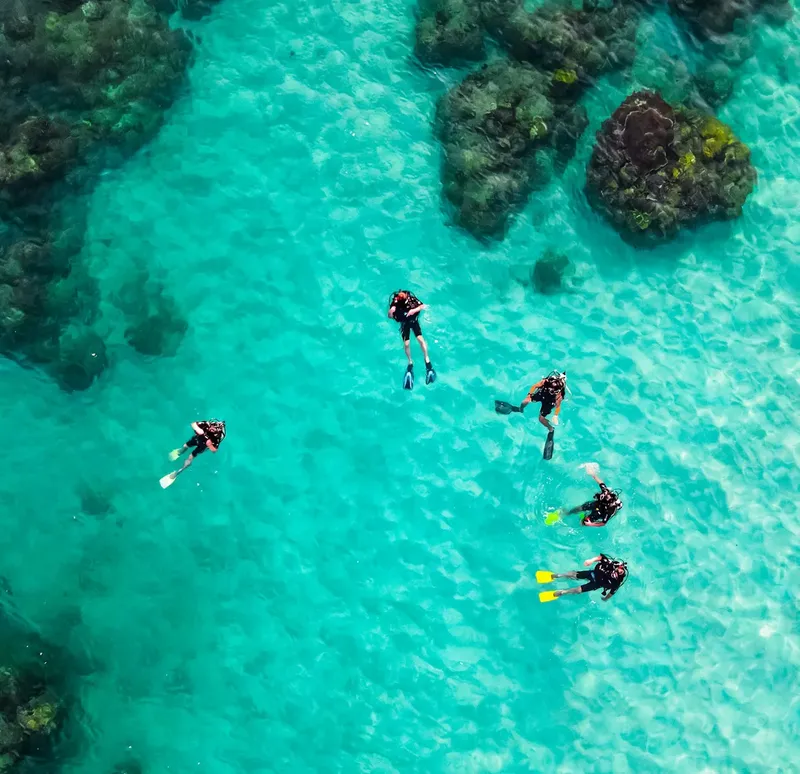 Vue aérienne de plongeurs explorant un récif corallien turquoise
