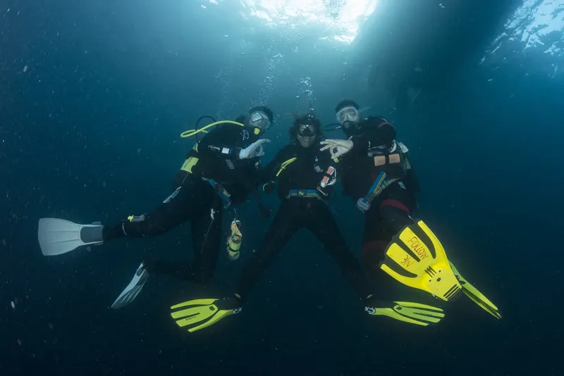 Trois plongeurs souriants en combinaison, palmes jaunes, dans l'eau bleue