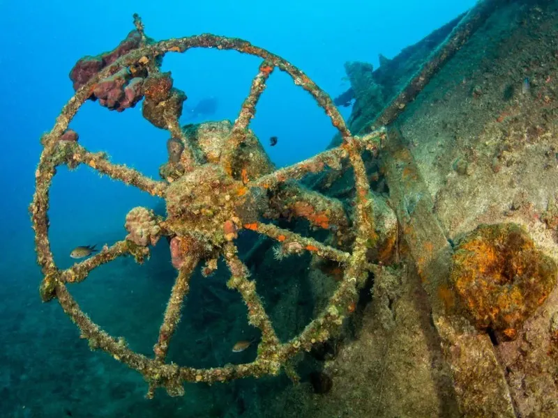 Épave sous-marine colonisée par la vie marine et des poissons