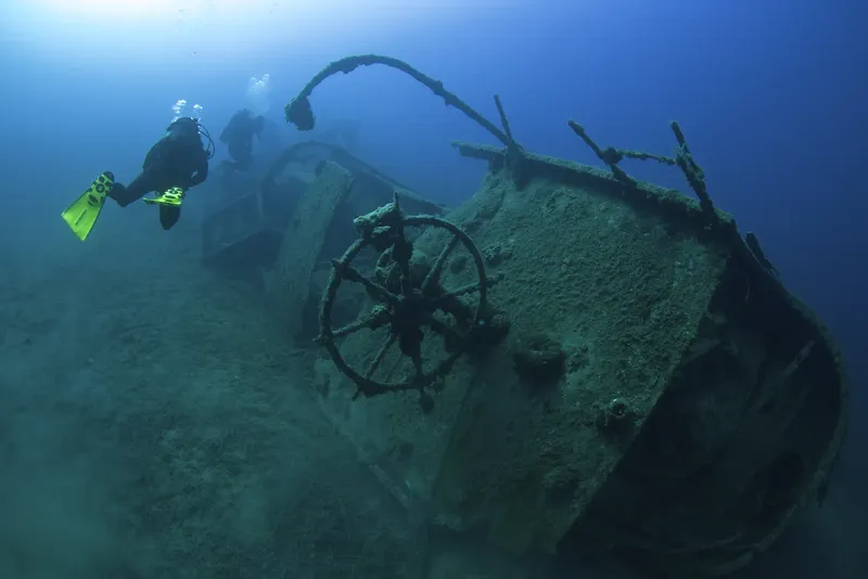 Plongeurs explorant l'épave d'un bateau recouvert d'algues bleues