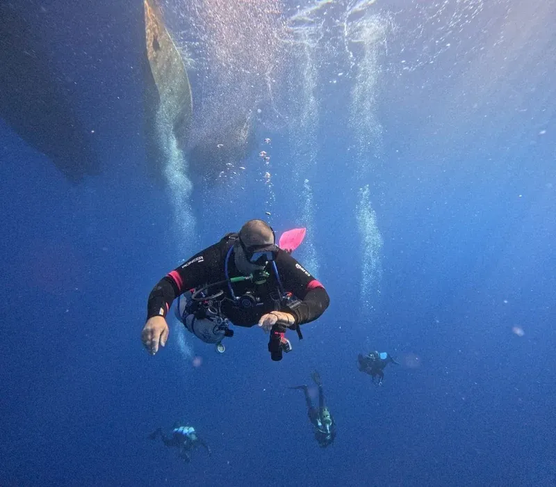 Plongeurs explorent les profondeurs bleues, lumière du soleil filtrant à travers l'eau