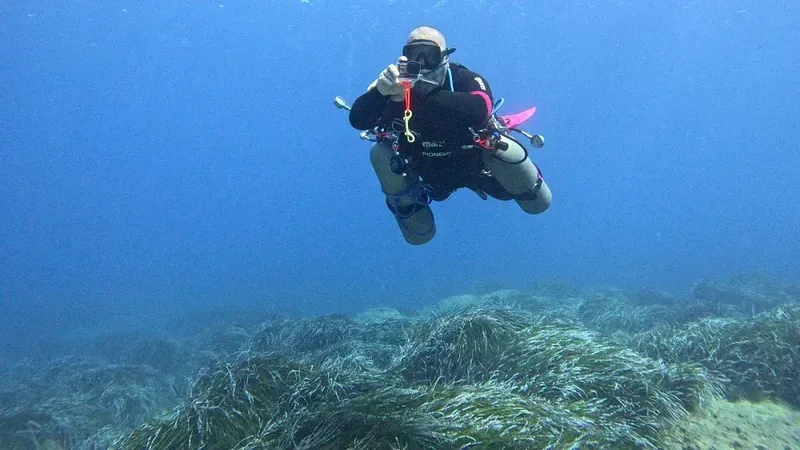Plongeur en combinaison noire nageant au-dessus d'une prairie marine