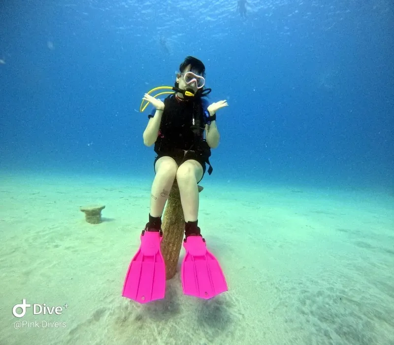 Plongeuse assise sur une structure corallienne en milieu aquatique bleu