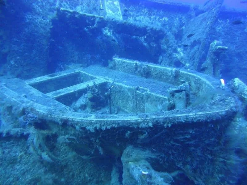 Epave de bateau colonisée par la vie marine, vue sous-marine