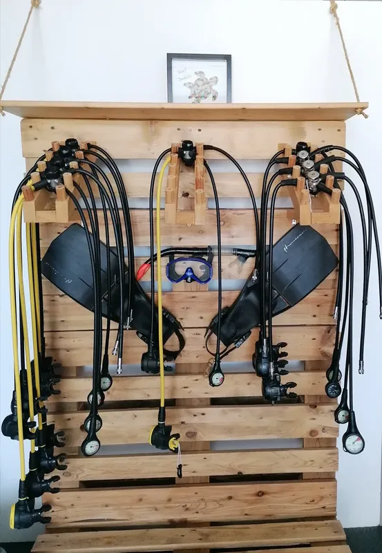 Equipement de plongée complet suspendu sur un mur en bois clair