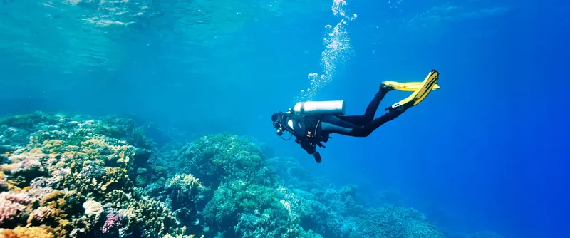 Plongeur en combinaison nageant au-dessus d'un récifal corallien bleu
