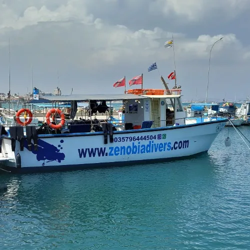 Bateau de plongée amarré dans un port ensoleillé avec son site web