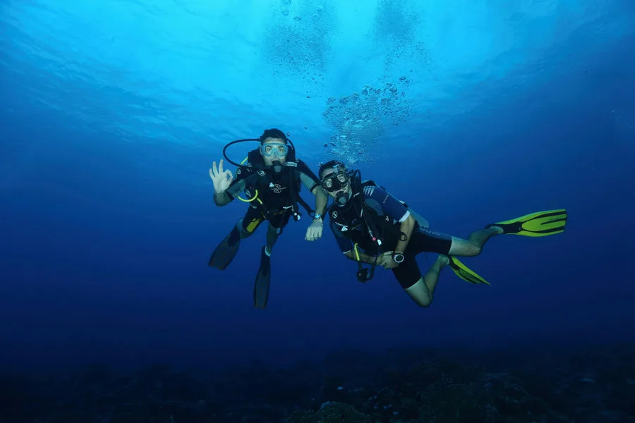 Deux plongeurs souriants nagent côte à côte dans l'eau bleue