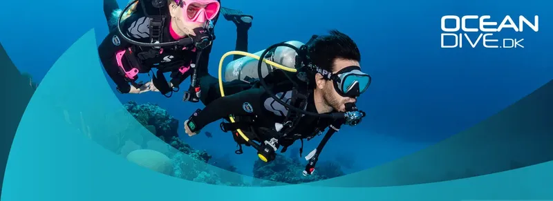 Deux plongeurs explorent un récif corallien en eau bleue claire