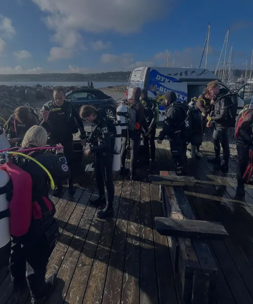Groupe de plongeurs préparant leur matériel sur un ponton en bois