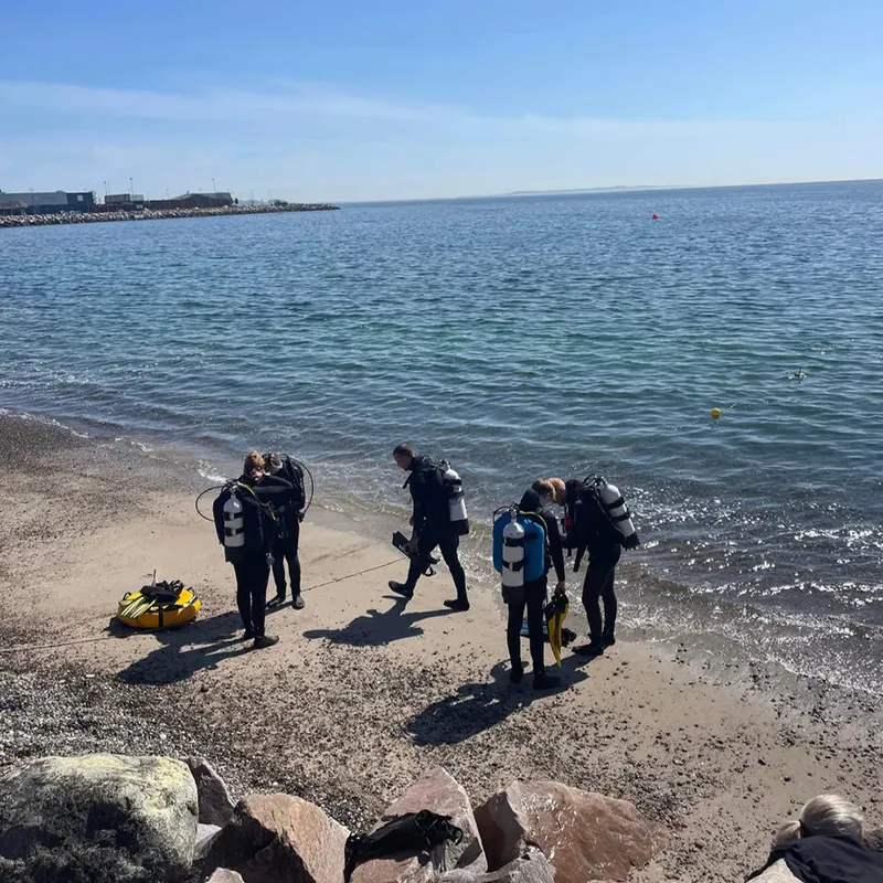 Plongée : des personnes équipées se préparent sur une plage rocheuse