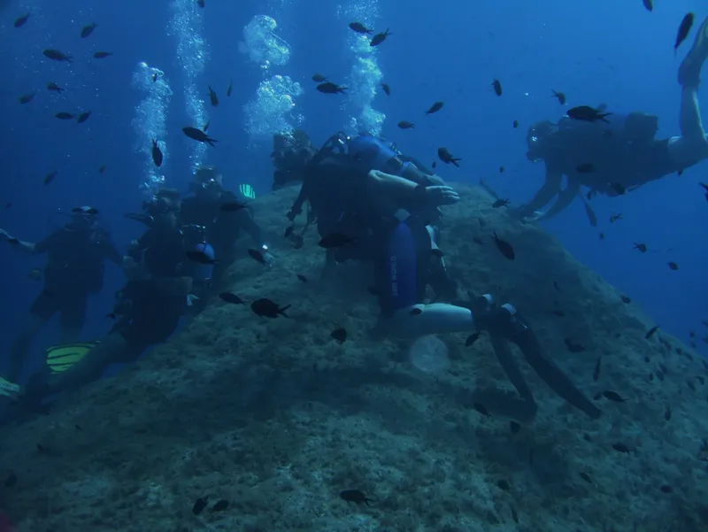 Groupe de plongeurs explorant un fond marin rocheux avec des poissons