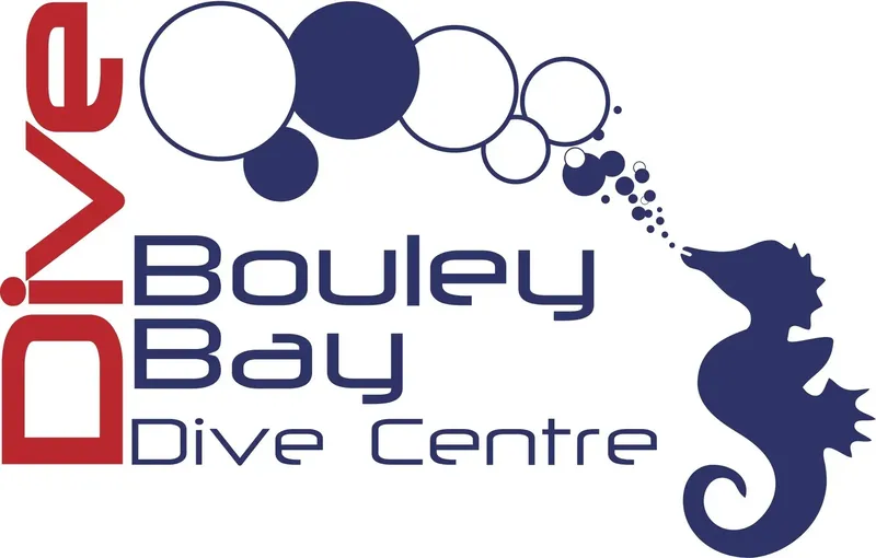 Logo avec un hippocampe bleu et des bulles stylisées sur fond blanc