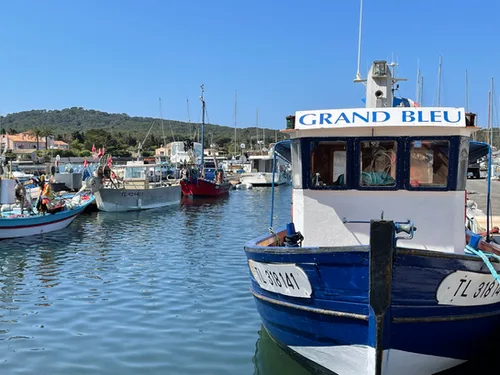 Plusieurs bateaux amarrés dans un port ensoleillé avec des personnes à bord