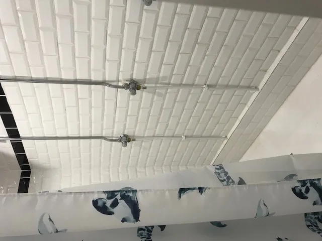 Douches avec carrelage blanc et motifs de baleines sur le mur