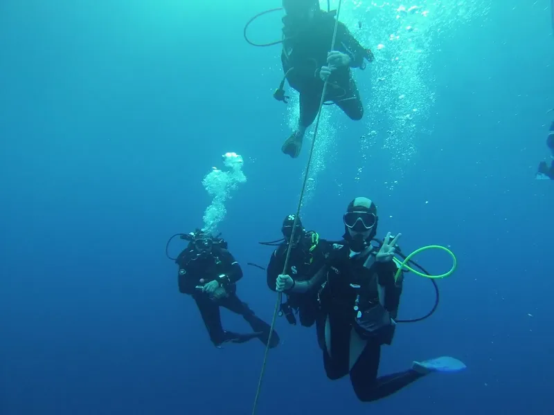 Trois plongeurs en combinaison noire nagent dans une eau bleue claire