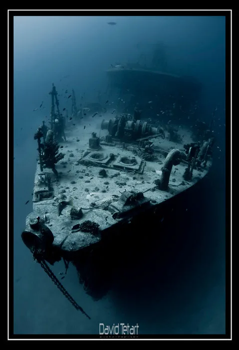 Épave de bateau rouillée, colonisée par la vie marine, plongée sous-marine