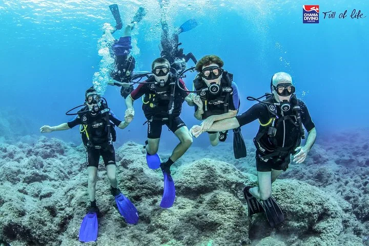 Plongeurs souriants en pleine eau, nageant ensemble dans un environnement rocheux
