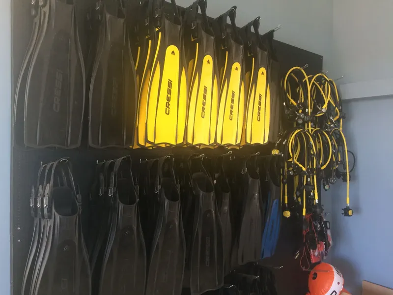 Rangée de palmes de plongée Cressi accrochées au mur, équipement