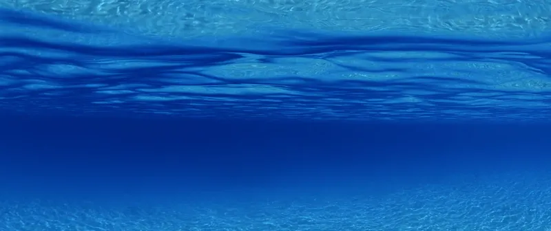 Vue sous-marine avec surface à la lumière et bleu profond