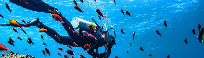 Plongeur avec de nombreux poissons colorés dans un récif corallien