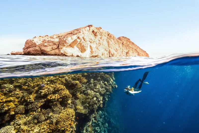 Apnée : plongeur explore un récif corallien sous une île rocheuse