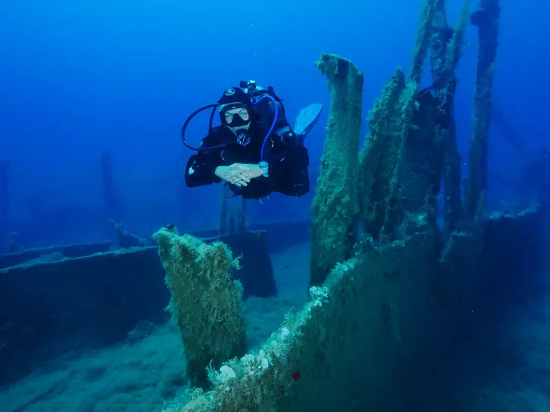 Plongeur explore une épave recouverte d'algues en milieu aquatique
