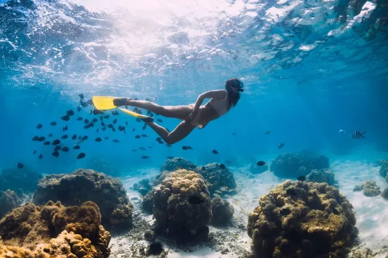 Plongeuse explorant un récifal corallien avec des bancs de poissons