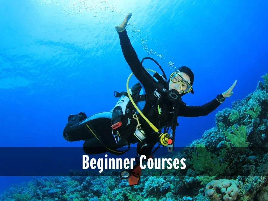 Plongeur pointant vers le récoral avec texte 'Beginner Courses'