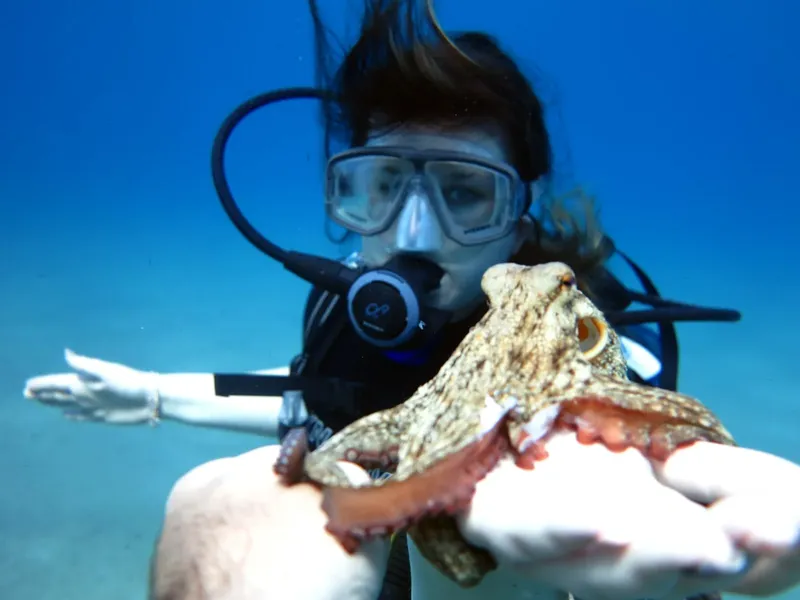 Plongeuse interagissant avec une pieuvre dans l'eau bleue