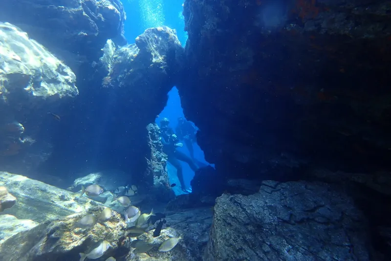 Plongeurs explorant une grotte sous-marine avec des poissons et lumière