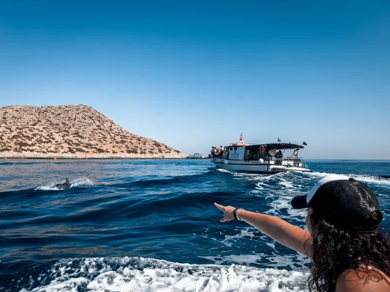Bateau de plongée en mer, dauphin sautant, personne pointant vers l'animal