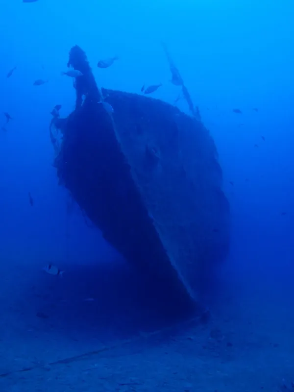 Épave de bateau immergée dans une eau bleue, quelques poissons présents
