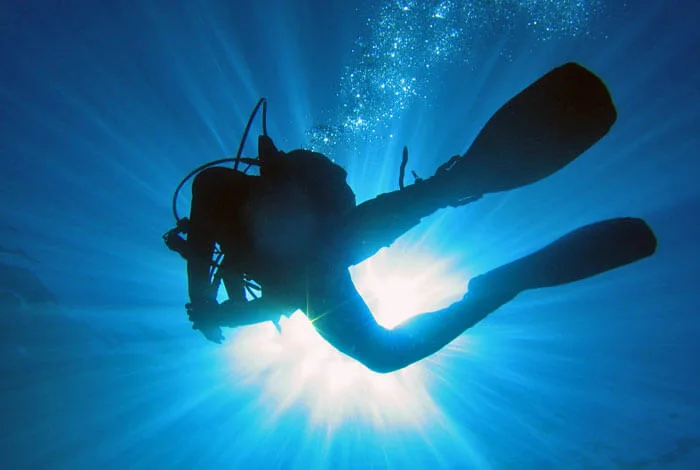 Plongeur silhouetté contre la lumière, nageant dans l'eau bleue