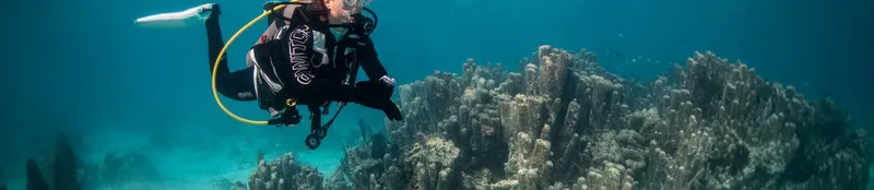 Plongeur en combinaison explore un récifal corallien bleu et lumineux