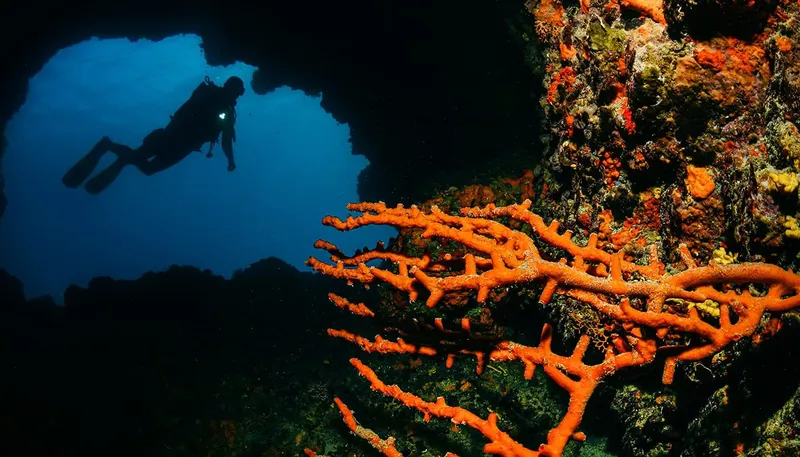 Plongeur explorant une grotte sous-marine avec coraux orange et lumière