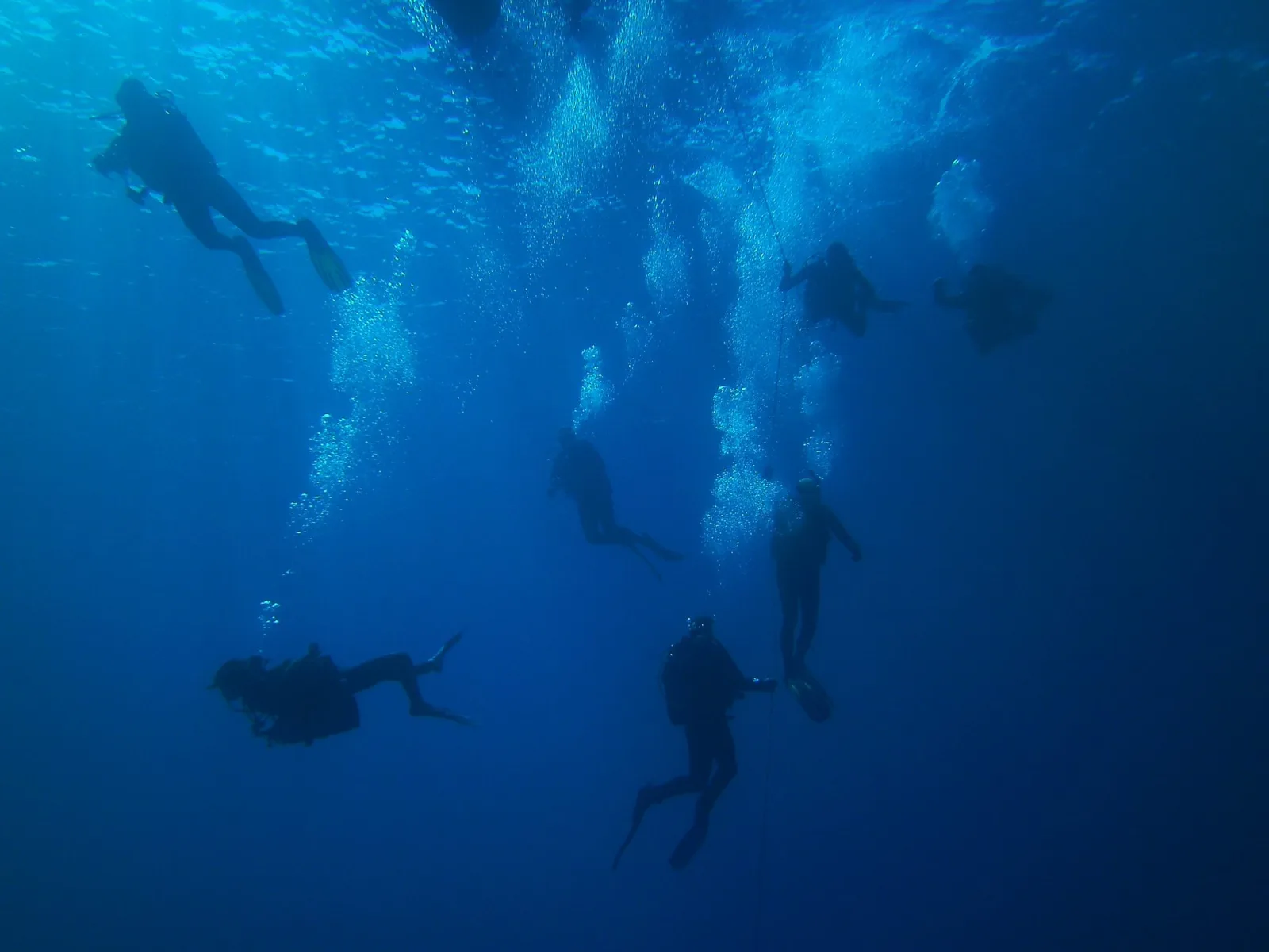Groupe de plongeurs explorant les profondeurs bleues de l'océan