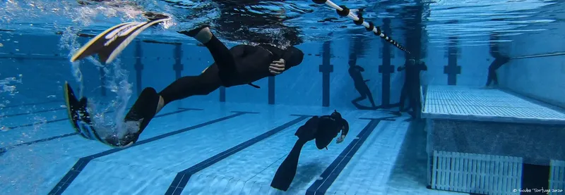 Plusieurs plongeurs s'entrainent en apnée dans une piscine bleue claire