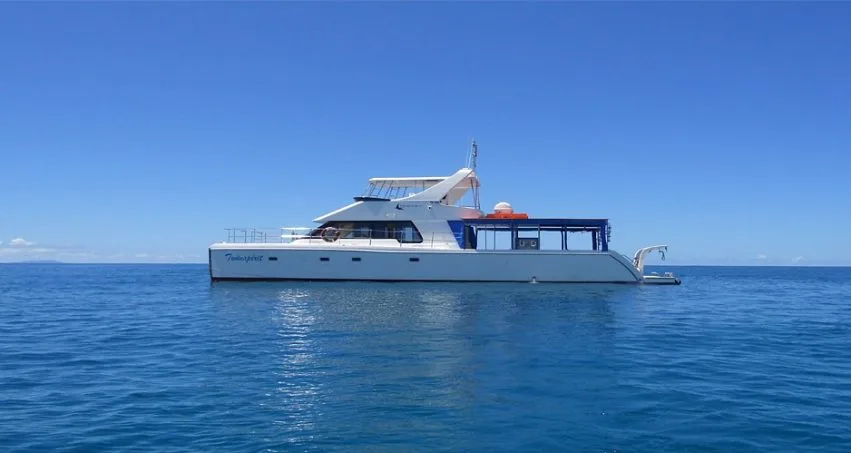 Catamaran blanc naviguant sur une mer bleue sous un ciel clair