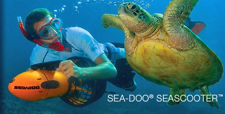 Plongeur avec scooter sous-marin nageant à côté d'une tortue marine