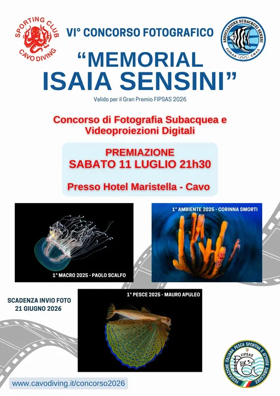 Affiche concours photo subaquatique avec meduses, poissons et coraux