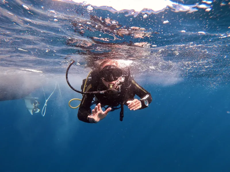 Plongeur en combinaison explore les fonds marins, mains ouvertes, regardant vers l'avant
