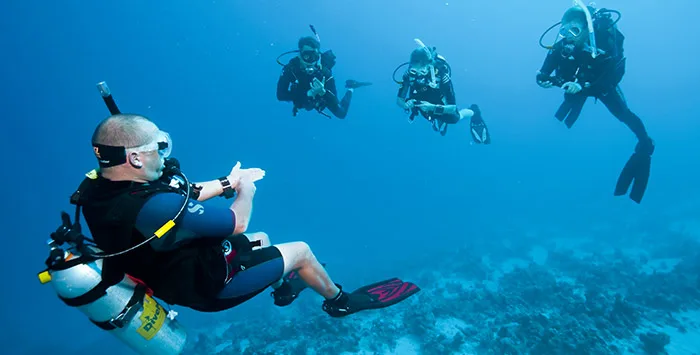 Quatre plongeurs en combinaison explorent un récifal sous-marin bleu