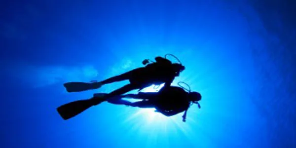 Deux plongeurs en silhouette nagent vers la surface lumineuse