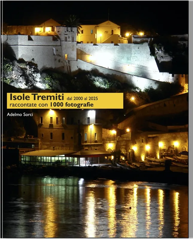 Village côtier illuminé la nuit avec des bateaux amarrés au port