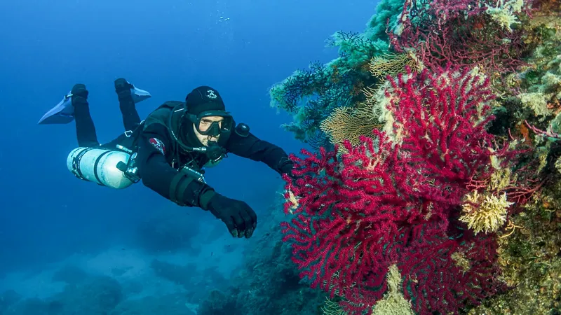 Plongeur explorant un récif corallien coloré en milieu aquatique